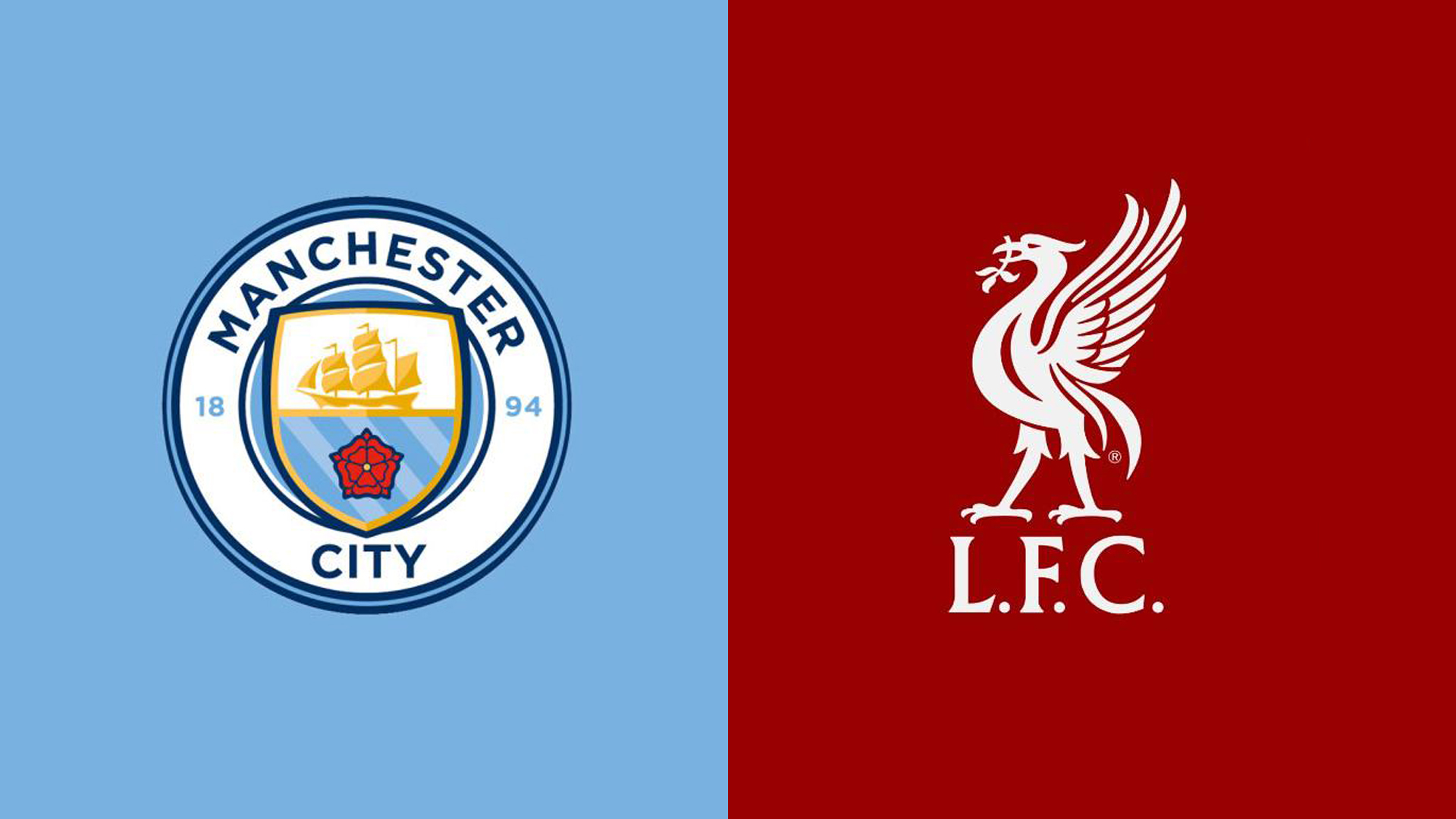 了排球运动 了排球运动