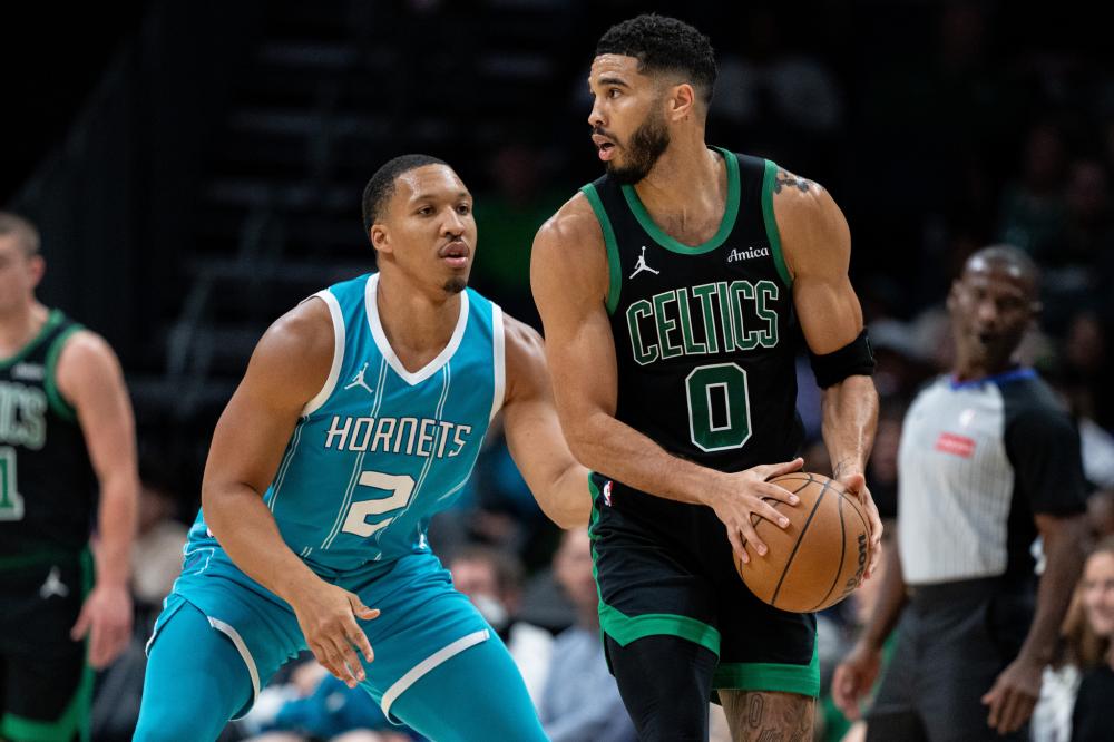 他们不敢有 他们不敢有